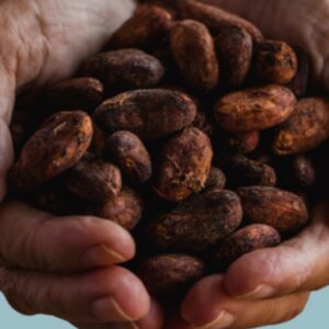 Cacao Ceremonial